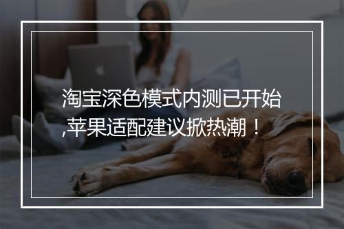 淘宝深色模式内测已开始,苹果适配建议掀热潮！