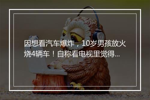因想看汽车爆炸，10岁男孩放火烧4辆车！自称看电视里觉得很刺激