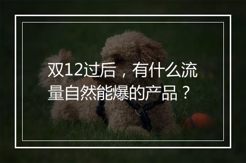 双12过后，有什么流量自然能爆的产品？