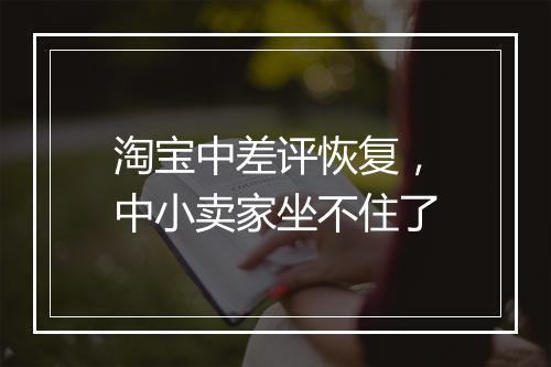 淘宝中差评恢复，中小卖家坐不住了