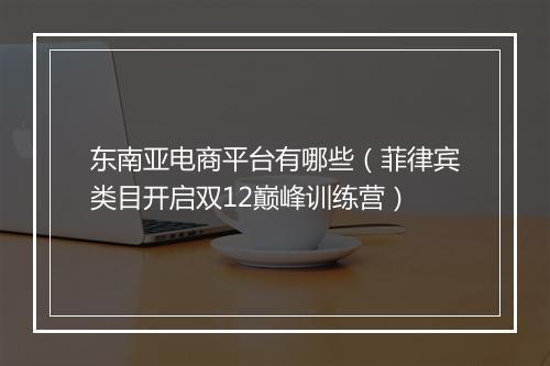东南亚电商平台有哪些（菲律宾类目开启双12巅峰训练营）