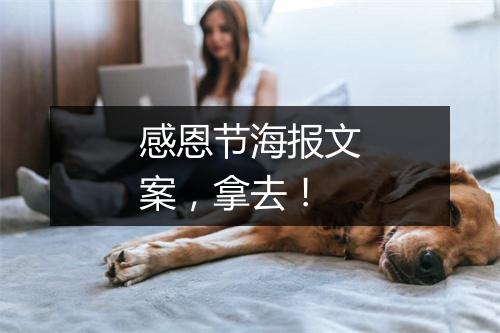 感恩节海报文案，拿去！