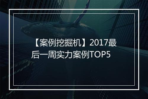【案例挖掘机】2017最后一周实力案例TOP5