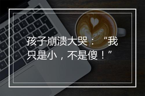 孩子崩溃大哭：“我只是小，不是傻！”