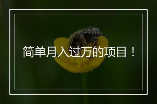 简单月入过万的项目！