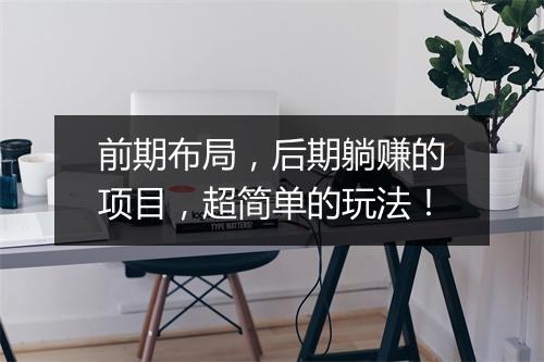 前期布局，后期躺赚的项目，超简单的玩法！