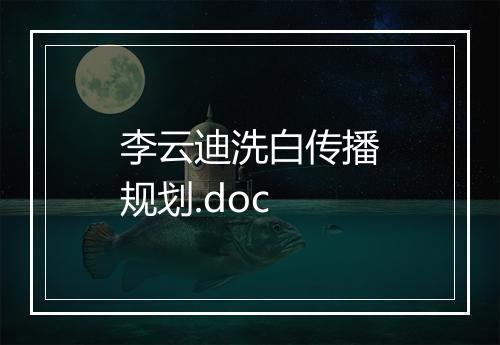 李云迪洗白传播规划.doc