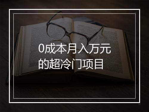0成本月入万元的超冷门项目