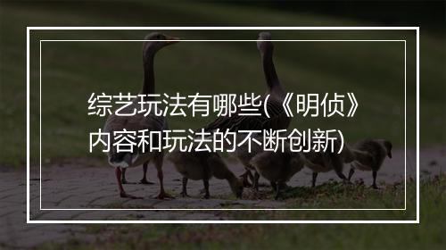 综艺玩法有哪些(《明侦》内容和玩法的不断创新)
