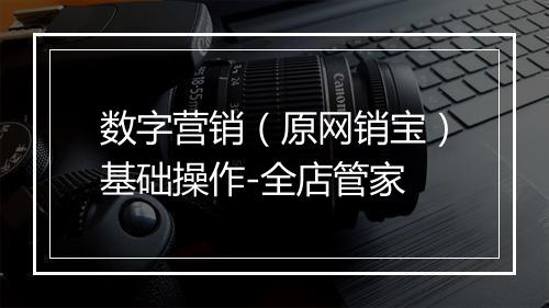数字营销（原网销宝）基础操作-全店管家