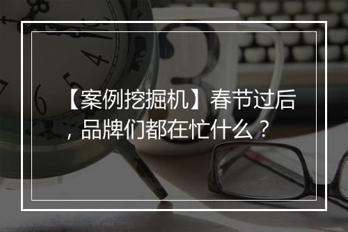 【案例挖掘机】春节过后，品牌们都在忙什么？