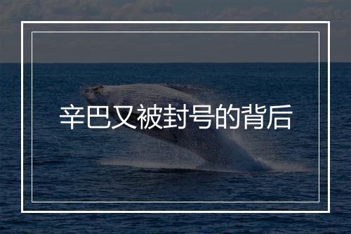 辛巴又被封号的背后