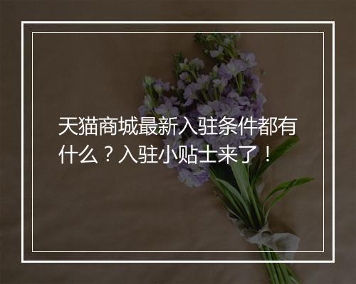 天猫商城最新入驻条件都有什么？入驻小贴士来了！