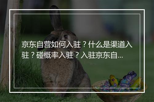 京东自营如何入驻？什么是渠道入驻？碰概率入驻？入驻京东自营的你中招了吗？