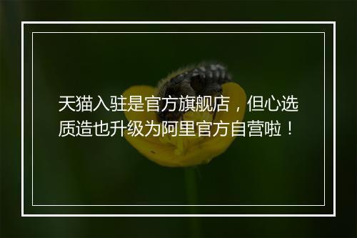 天猫入驻是官方旗舰店，但心选质造也升级为阿里官方自营啦！