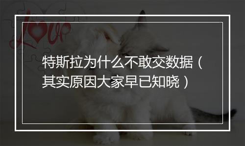 特斯拉为什么不敢交数据（其实原因大家早已知晓）