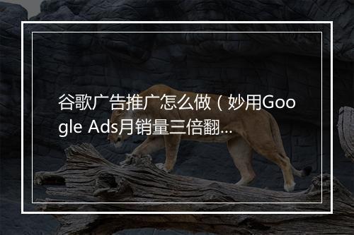 谷歌广告推广怎么做（妙用Google Ads月销量三倍翻）