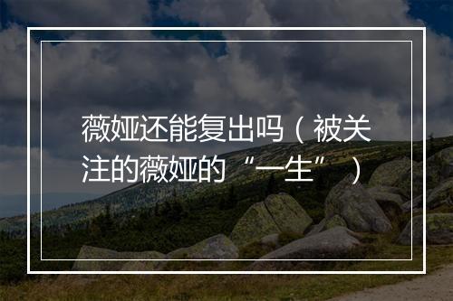 薇娅还能复出吗（被关注的薇娅的“一生”）