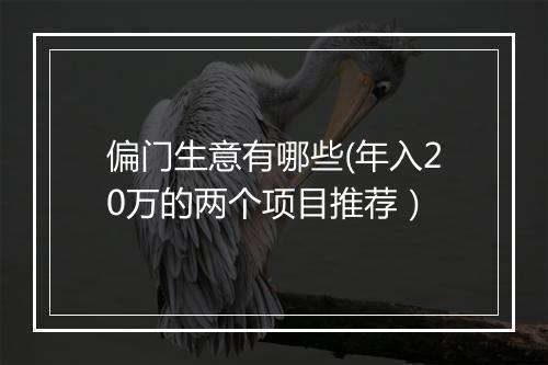 偏门生意有哪些(年入20万的两个项目推荐）