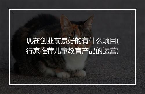 现在创业前景好的有什么项目(行家推荐儿童教育产品的运营)