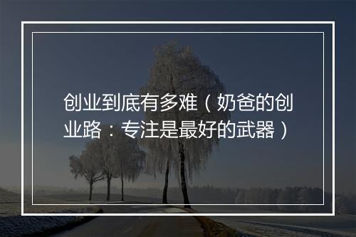创业到底有多难（奶爸的创业路：专注是最好的武器）