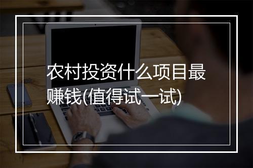 农村投资什么项目最赚钱(值得试一试)
