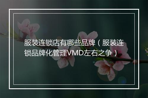 服装连锁店有哪些品牌（服装连锁品牌化管理VMD左右之争）