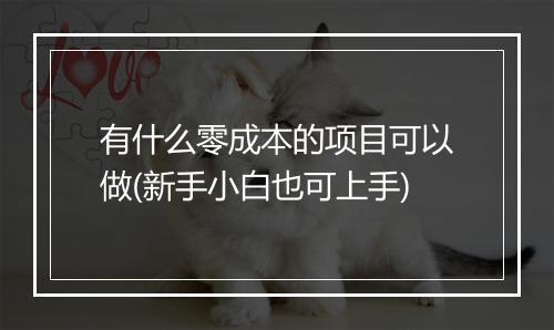 有什么零成本的项目可以做(新手小白也可上手)