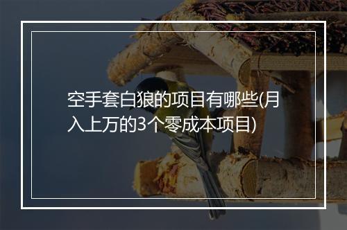 空手套白狼的项目有哪些(月入上万的3个零成本项目)