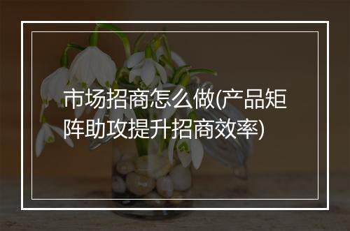 市场招商怎么做(产品矩阵助攻提升招商效率)