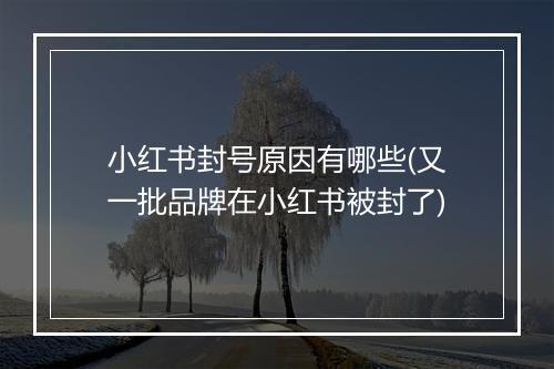小红书封号原因有哪些(又一批品牌在小红书被封了)