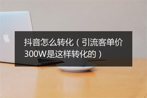 抖音怎么转化（引流客单价300W是这样转化的）