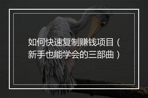 如何快速复制赚钱项目（新手也能学会的三部曲）