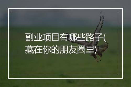 副业项目有哪些路子(藏在你的朋友圈里)