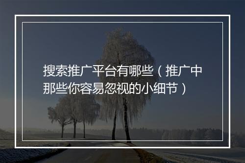 搜索推广平台有哪些（推广中那些你容易忽视的小细节）