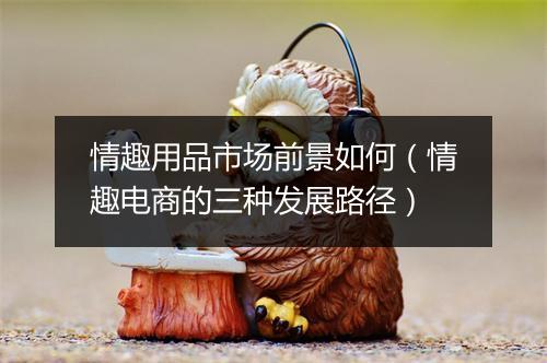 情趣用品市场前景如何（情趣电商的三种发展路径）