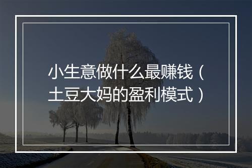 小生意做什么最赚钱（土豆大妈的盈利模式）