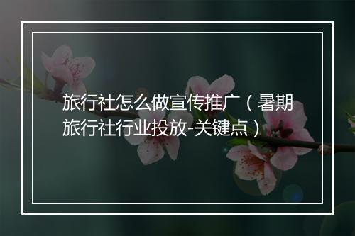 旅行社怎么做宣传推广（暑期旅行社行业投放-关键点）