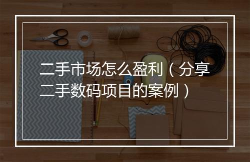 二手市场怎么盈利（分享二手数码项目的案例）