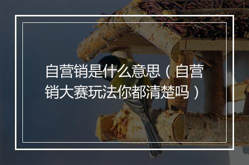 自营销是什么意思（自营销大赛玩法你都清楚吗）