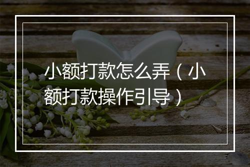 小额打款怎么弄（小额打款操作引导）