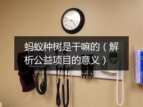 蚂蚁种树是干嘛的（解析公益项目的意义）