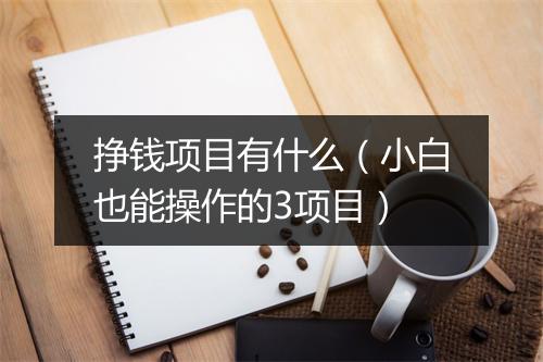挣钱项目有什么（小白也能操作的3项目）