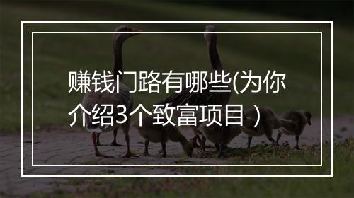 赚钱门路有哪些(为你介绍3个致富项目）