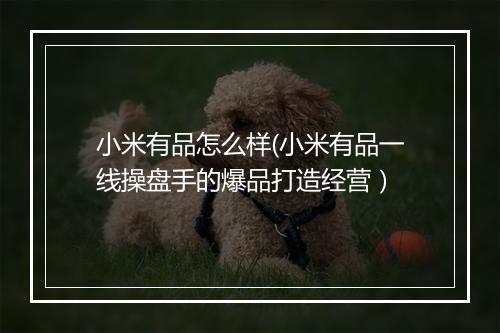 小米有品怎么样(小米有品一线操盘手的爆品打造经营）