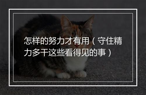 怎样的努力才有用（守住精力多干这些看得见的事）