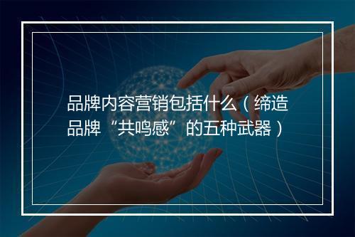 品牌内容营销包括什么（缔造品牌“共鸣感”的五种武器）