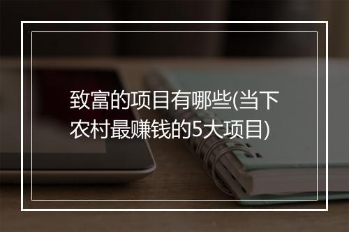 致富的项目有哪些(当下农村最赚钱的5大项目)