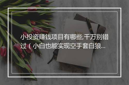 小投资赚钱项目有哪些,千万别错过（小白也能实现空手套白狼）