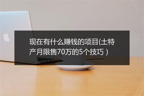 现在有什么赚钱的项目(土特产月限售70万的5个技巧）
